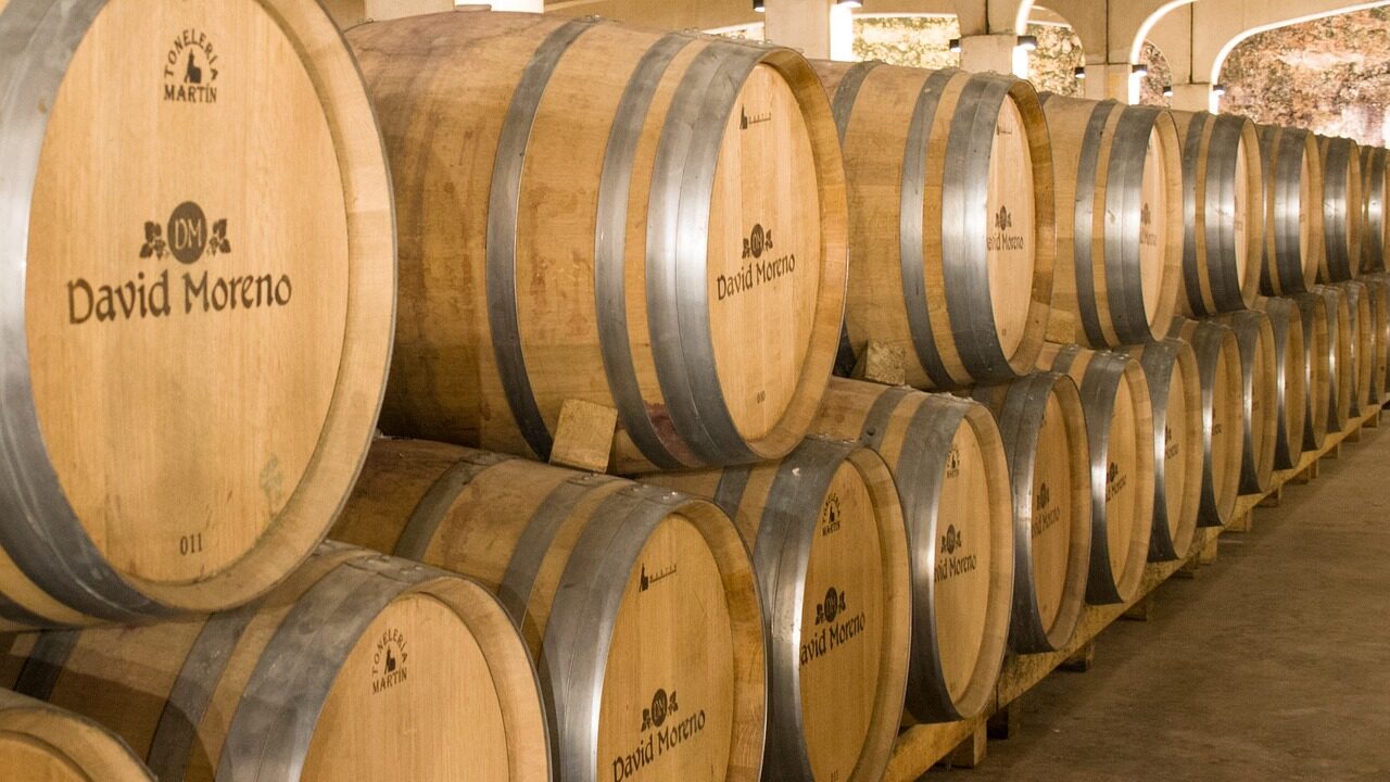La Rioja: Un viaje a través de viñedos, historia y sabores